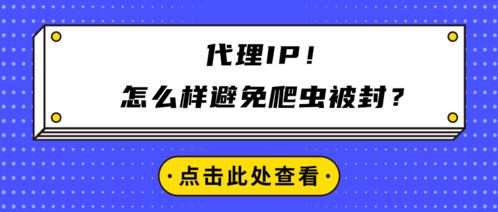 代理IP在避免爬蟲被封中的應用與廣告設計規范